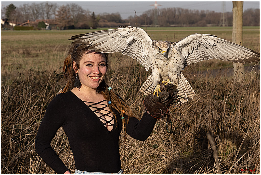 Cheyenne-Halbblut Hunting Wolf in der Falknerei Pierre Schmidt; Gymnich, 09.02.2023